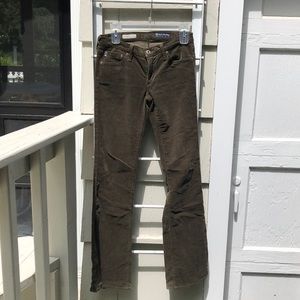 AG “the Angel” bootcut cords